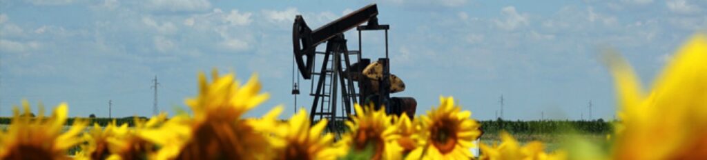Biyokütle Enerjisi Nedir? 2026'da Temiz Enerjinin Yeni Kaynağı