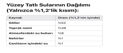Tatlı Su Krizi: 21. Yüzyılın En Büyük Tehdidi ve Etkileri 4